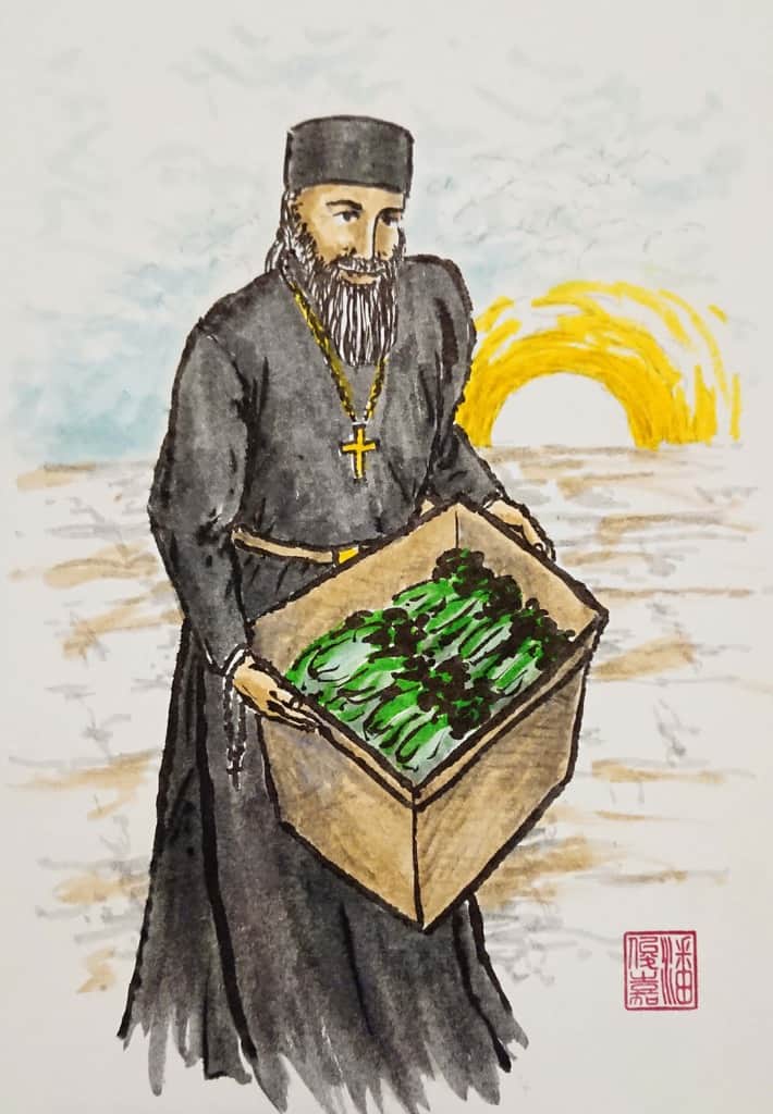 Hieromonk harvesting vegetable crops